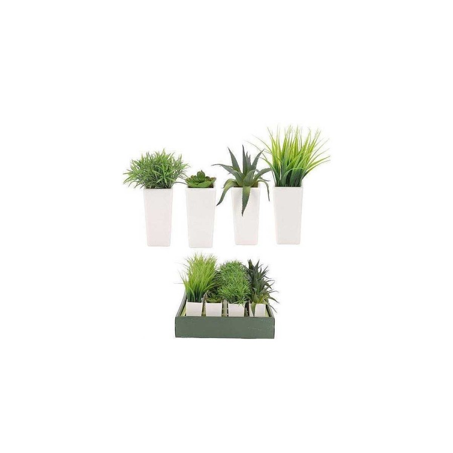 Camping Alijuguetes Macetas Para El Jard N | Maceta Con Planta 13Cm